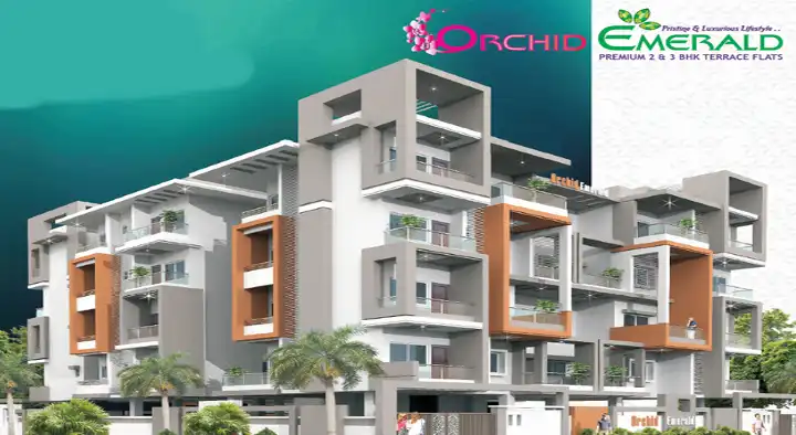 Real Estate Companies in Tirupati  : Orchids Emerald in Balaji Nagar