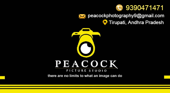 professional videographers and photographers in Tirupati : Peacock Picture Studio in PVR Plaza