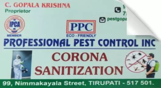 Pre Construction Pest Control Service in Tirupati  : Professional Pest Control INC in Nimmakayala Street