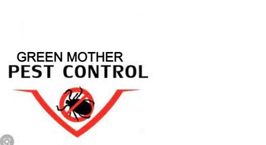 Green Mother Pest Control in Kattabomman Street, Tiruvannamalai