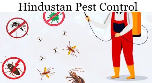 Hindustan Pest Control in Gandhi Nagar, Vijayawada
