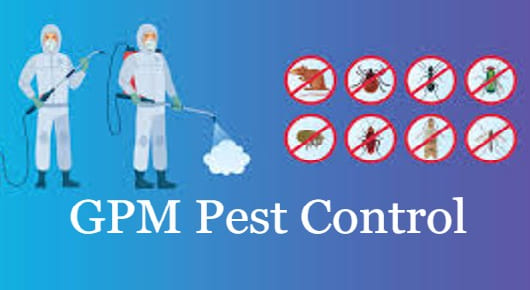 GPM Pest Control in Tadigadapa Donka Rd, Vijayawada