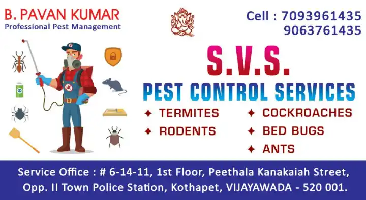 Pest Control Service For Bed Bugs in Eluru  : SVS Pest Control Services in Kothapet