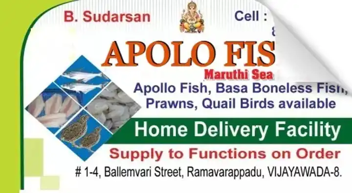 Sea Food Dealers in Vijayawada (Bezawada) : Apolo Fish - Maruthi Sea Foods in Ramavarappadu