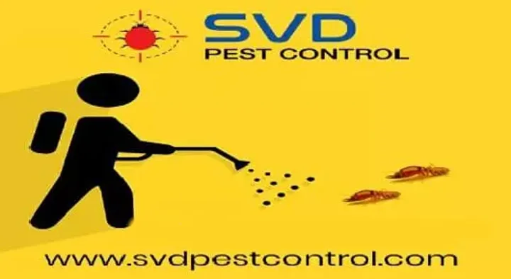 Pest Control Service For Lizard in Vijayawada (Bezawada) : SVD Pest Control in M.G.Road