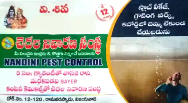 Pest Control For Rodent in Vijayawada (Bezawada) : Nandini Pest Control in Ramavarapadu