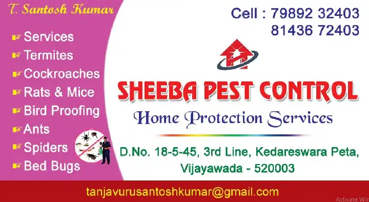 pest control service for ants in Vijayawada : Sheeba Pest Control in Kedareswara Peta