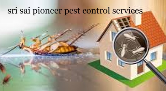 Sri Sai Pioneer Pest Control Services in Visakhapatnam, Visakhapatnam