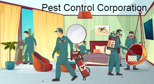 Pest Control Corporation in Dwarakanagar, Visakhapatnam