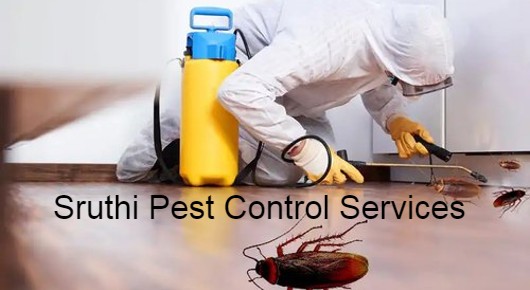 Sruthi Pest Control Services in Seethammadara, Visakhapatnam
