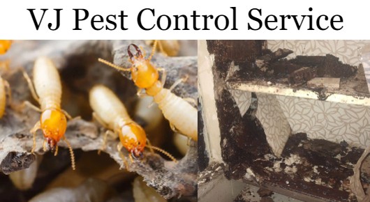 VJ Pest Control Service in Srinagar, Visakhapatnam
