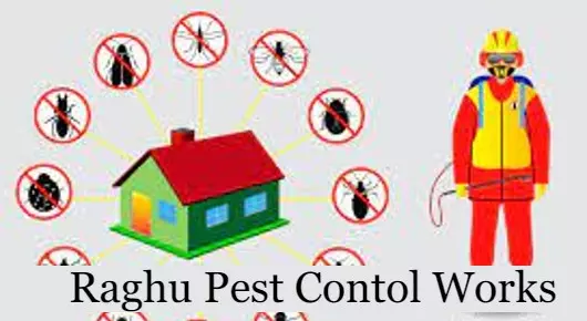 Raghu Pest Contol Works in Sai Sakti Enclave, Vizianagaram