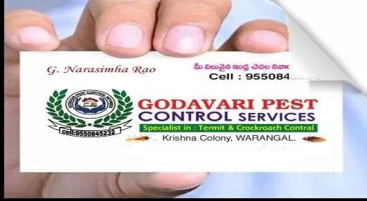 Pest Control Service For Bed Bugs in Warangal  : Godavari Pest Control Services in Krishna Colony