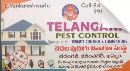 Pest Control For Cockroach in Warangal  : Telangana Pest Control in Krishna Colony