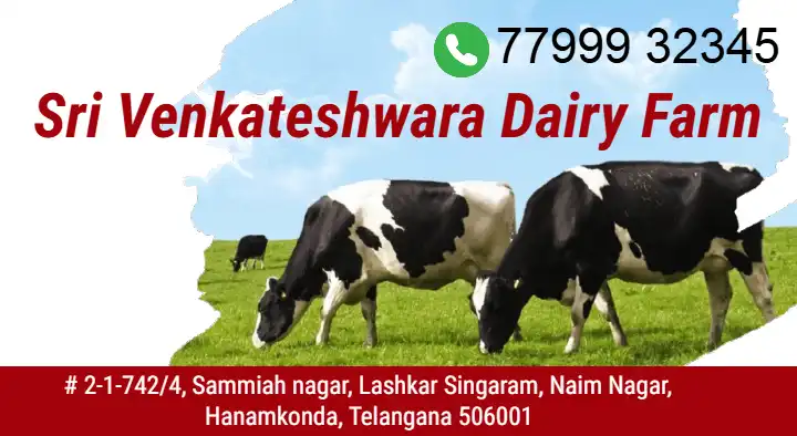 sri venakteswara dairy farm hanamkonda in warangal,Hanamkonda In Visakhapatnam, Vizag