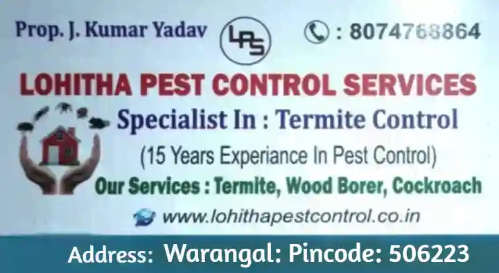 Pest Control Service For Lizard in Mancherial  : Lohitha Pest Control Services in Bus Stand