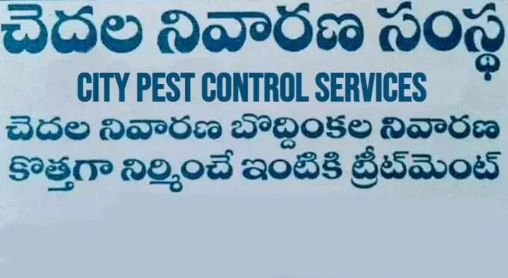 Anti Termite Treatment in Warangal  : City Pest Control Services in Hanamkonda
