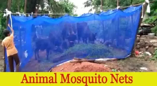 Mosquito Mesh Dealers in West_Godavari  : Animal Mosquito Nets in Kaikaram