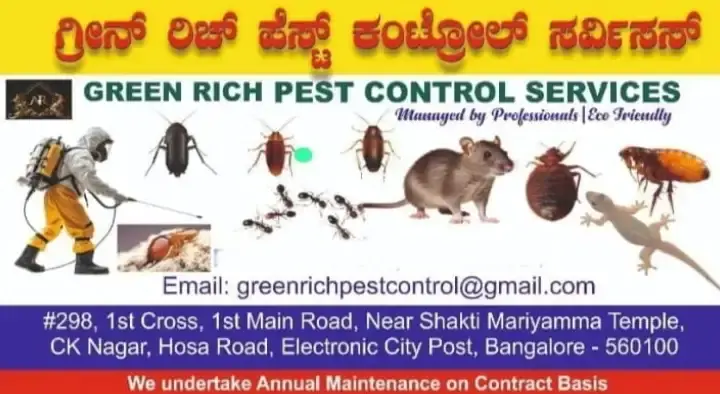 Green Rich Pest Control Services in CK Nagar