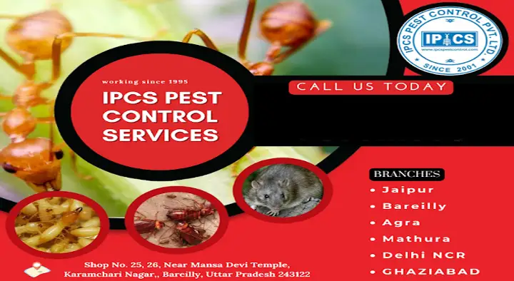 IPCS Pest Control Service in Rajendra Nagar, Bareilly