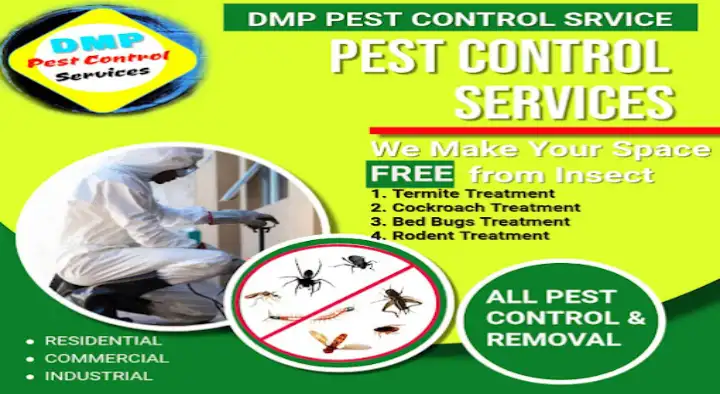 DMP PEST CONTROL SERVICE in Baripada