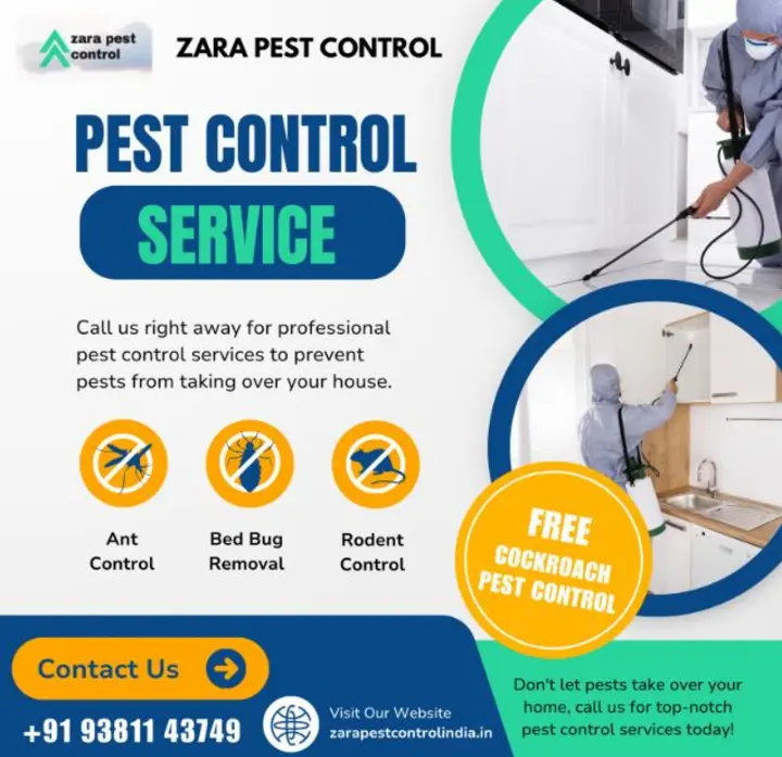 Zara pest control in Triplicane