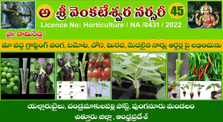 Sri Venkateswara Nursery in Punganur, Chittoor