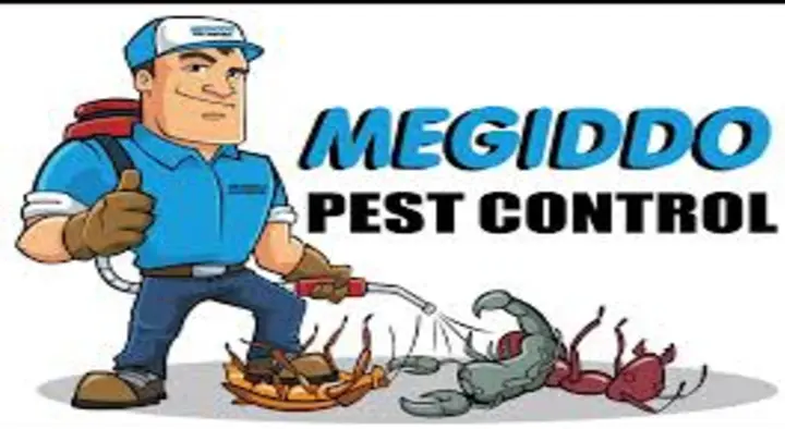 Megiddo Pest Control in Tatabad