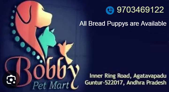 Pet Shops in Guntur  : Bobby Pet Mart in Agatavapadu