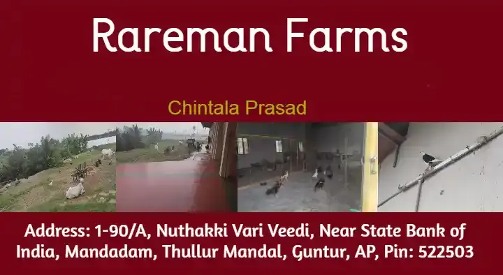 Rareman Farms in Mandadam