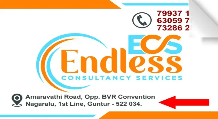 Endless Consultancy Services in Amaravathi Road