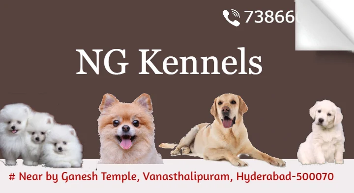 NG Kennels in Vanasthalipuram