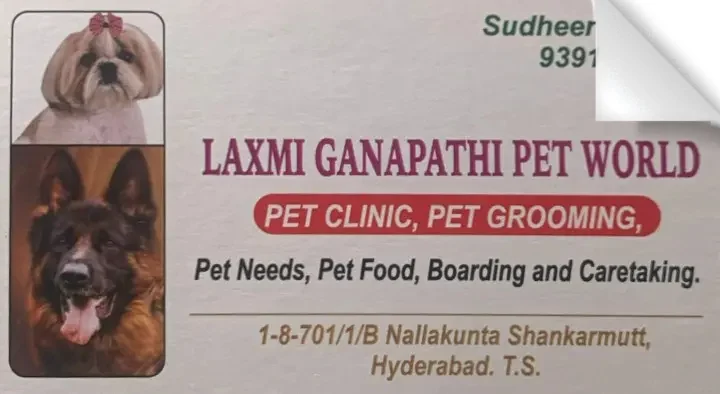 Laxmi Ganapathi Pet World in Nallakunta, Hyderabad