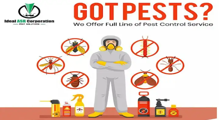 Pest Control Services in Indore  : Ideal ASR Corporation in Gandhi Road