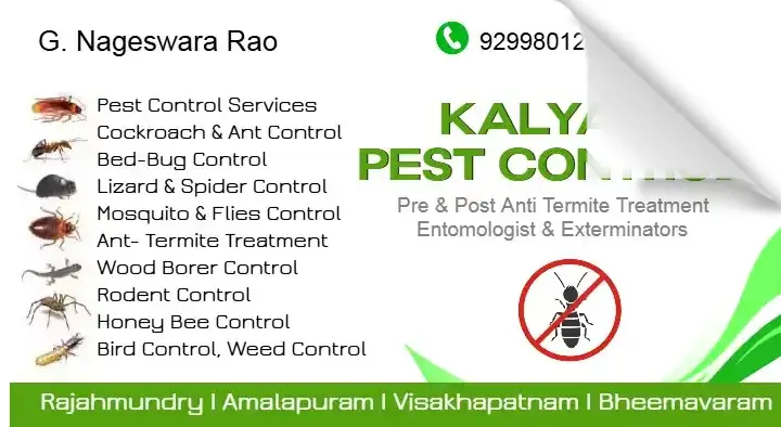 Kalyan Pest Control Services in Old Post Office Road