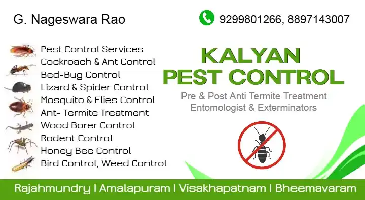 Pest Control Services in Sangli  : Kalyan Pest Control Services in Old Post Office Road