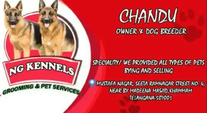 Pet Food And Accessories Shop in Khammam  : NG Kennels owner and Dog Breeder in Mustafa Nagar