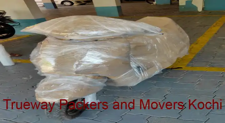 Packers And Movers in Kochi (Cochin) : Trueway Packers and Movers Kochi in Maradu