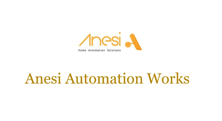 Automobile Consultants in Pune  : Anesi Automation in Moshi