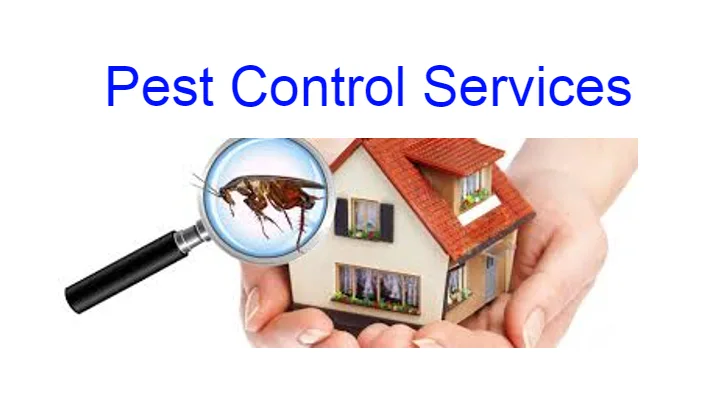 Pest Control Services in Thane  : Pest Control Services in Thane Koliwada