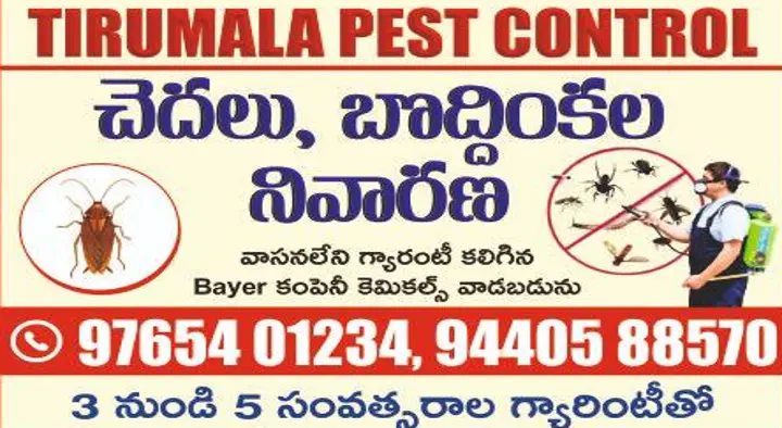 Pest Control Service in Tirupati  : Tirumala Pest Control in Leelamahal circle