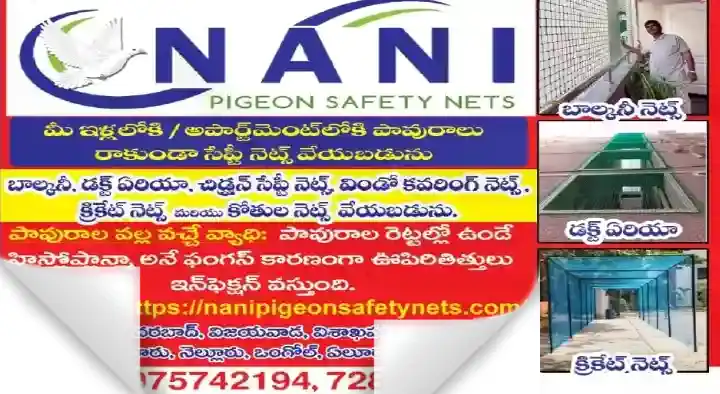 Pigeon Safety Net Dealers in Visakhapatnam (Vizag) : Nani Pigeon Safety Nets in Bus Stand