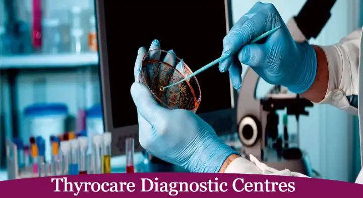 Diagnostic Centres in Visakhapatnam (Vizag) : Thyrocare Diagnostic Centres in Dwarakanagar