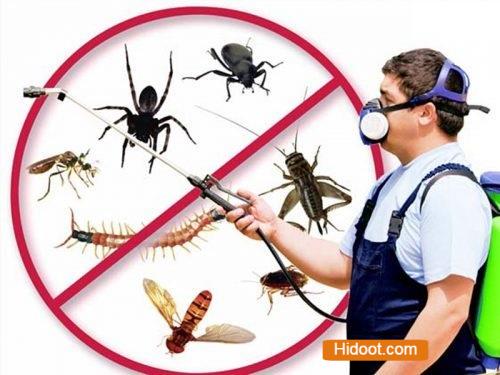 kl pest control services sab complex in anantapur ap - Photo No.0