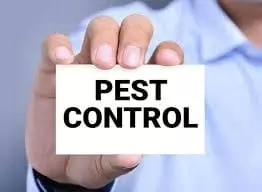 kld pest control in anantapur andhra pradesh - Photo No.9