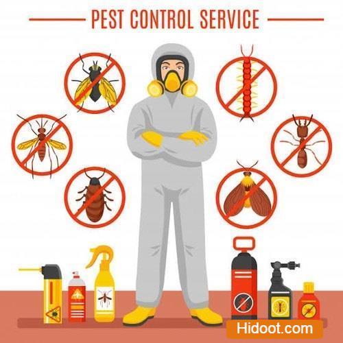 kr pest control services near tapovanam circle in anantapur andhra pradesh - Photo No.1