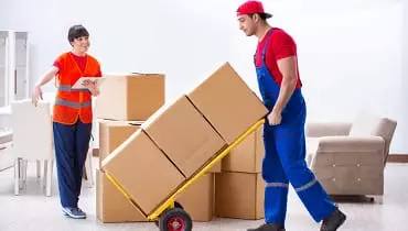 city logistics packers and movers gorakhnath gorakhpur - Photo No.4