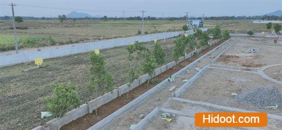 lella hari krishna reddy real estate near piduguralla in guntur - Photo No.1