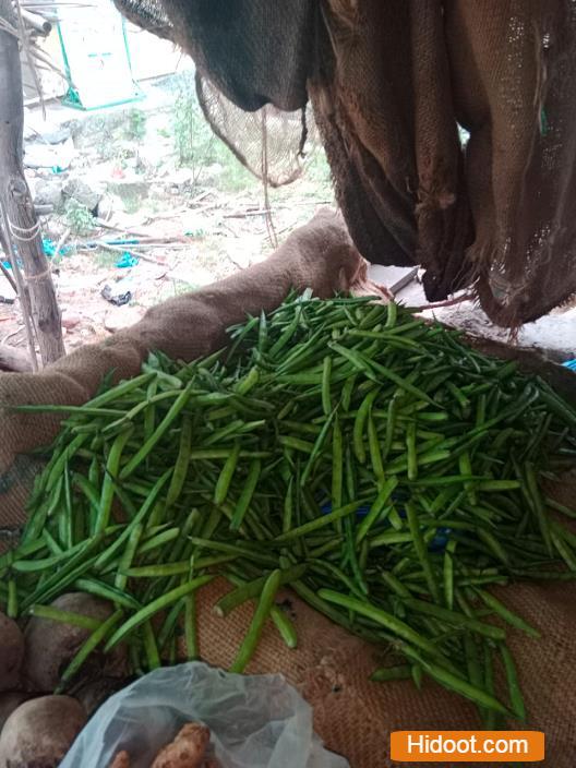 baji vegetable shop bapatla in guntur - Photo No.1