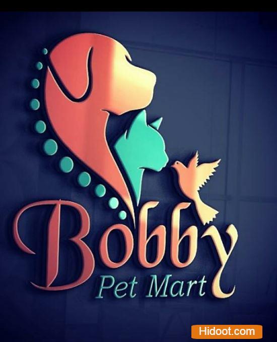 bobby pet mart pets and pet accessories agatavapadu in guntur - Photo No.5